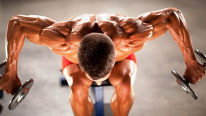 building muscle